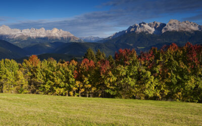 Autunno, finalmente foliage