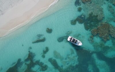 Al via la seconda stagione di Nobu Barbuda