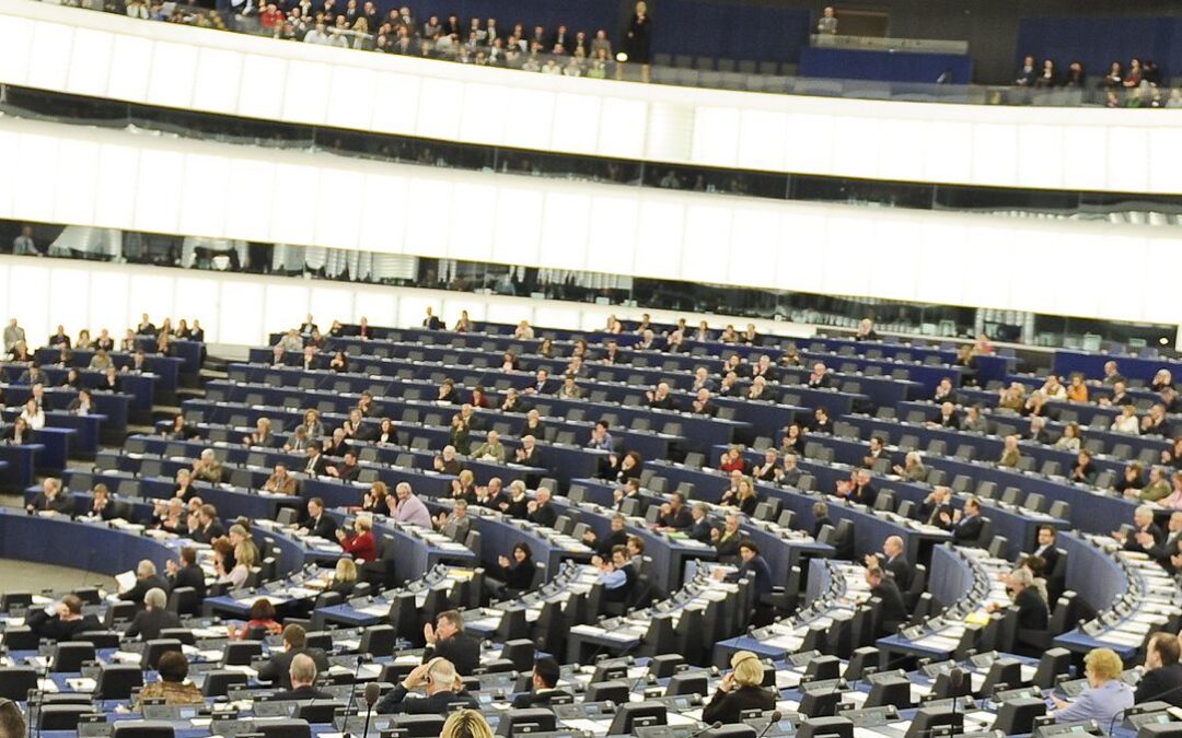 Dall’Europarlamento via libera alla legge per il ripristino della natura