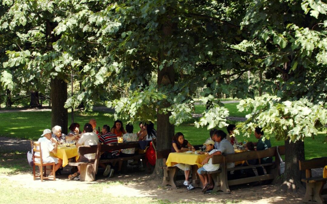 Aziende agrituristiche in costante aumento