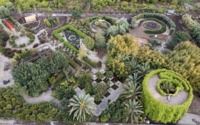 RADICEPURA GARDEN FESTIVAL: LA NATURA PER IMPARARE LA RESILIENZA